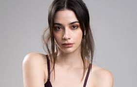 While You Were Watching Netflix, Alexia Alexander Was Busy Taking Over