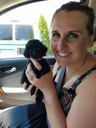 Female Toy Poodles, ACA and UABR reg. Almost 5 and 6 months old. Very  small. Crown City, OH