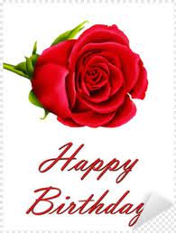 A bouquet of roses and daffodils is decorated with needles. Single Rose Birthday Flowers Single Rose Flower Birthday Flowers Bouquet Happy Birthday Hat Happy Birthday Card Images 359514 Free Icon Library