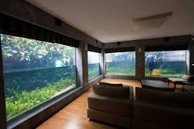 บ อปลา side view เสม อนสร างบ านไว ใต ท องทะเล บ านไอเด ย แบบบ าน ตกแต งบ าน เว บไซต เพ อบ านค ณ ต ปลา ออกแบบบ าน บ าน