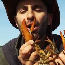 Wow the golden lobster tour tickets are flying ❤️🦞, If you wanna come put  a whole leg through the dancefloor this June/July you need to visit  smblive.co.uk 🇦🇺🎟️