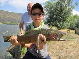 Hat Creek Powerhouse Ii Syns Twins And Fins