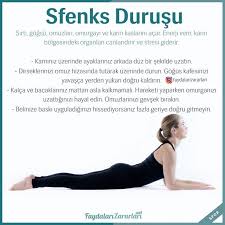 3 Twitter Twitter Kardiyo Egzersizleri Vucut Gelistirme Motivasyon Fitness Egzersizleri