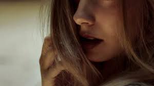 Rendezvous with Yellow Jacket