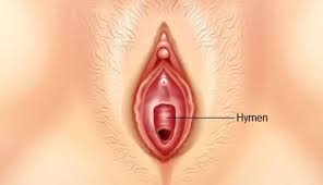 They call it popping your cherry because most women bleed after they. Its Not Just Sex That Breaks Your Hymen Read Other Reasons Beside This Lifeberrys English Dailyhunt