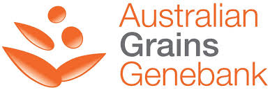 Image result for Teramnus uncinatus