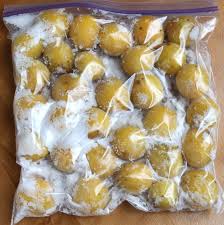 梅の塩漬けの方法（6月中旬の作業） | 梅干研究所 UMEBOSHI-LABO