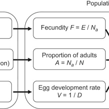 Pest and pesticide management on southern forests. Pdf How To Measure Top Down Vs Bottom Up Effects A New Population Metric And Its Calibration On Daphnia