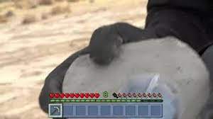 Diamonds are perhaps minecraft's most famous item. Jerma Finds Diamonds In Minecraft Youtube