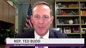 Ted Budd speaks out after winning GOP US Senate primary