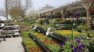 Pin On Garden Retail