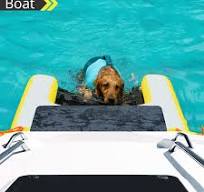 Amazon.com : AWSUM Inflatable Dog Water Ramp Pool Float Floating Ramps for Dogs On Water Ladder Steps Ideal for Pools, Lakes, Boats and Docks,with ...