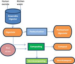 Find the idea of growing tomatoes with human excrement repulsive? Evaluating The Efficacy Of Fertilisers Derived From Human Excreta In Agriculture And Their Perception In Antananarivo Madagascar Springerlink