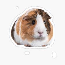 Ausmalbild m wie… verliebte meerschweinchen von alexa malt. Igel Mutter Geschenke Merchandise Redbubble