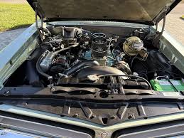 Image result for Palmetto Green 1965 GTO