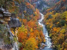You can revoke your consent to receive emails at any time by using the safeunsubscribe® link, found at the bottom of every email. Adventures At Georgia S 7 Natural Wonders Official Georgia Tourism Travel Website Explore Georgia Org