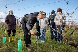 Conseil pour organiser son temps. Wtij Cn0r4x02m