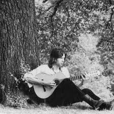 Folk rock / baroque pop released: Fruit Tree Nick Drake By Giovanni Segattini