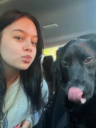 Custom travel cage for rescue parrot