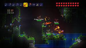 Image result for terraria