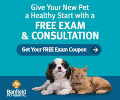 Find our latest banfield coupon codes, and the best banfield coupons to save you 15% off. Salty Dog Paddle Partners With Banfield And Blue Pearl Pet Hospitals Throughout The Usa Salty Dog Paddle