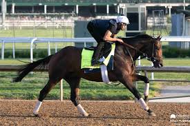 McCraken, Bird Song Could Give Tracy Wilkes And Family A Fun Night at  “Downs After Dark”