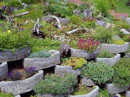 Etwas Zum Thema Pflanzsteine Die Ihnen Sehr Gut Gefallen Konnten Hier Sind Einige Pflanzsteine Mit Blumen Und Grunen Pflanzen Gartengestaltung Ideen Garten