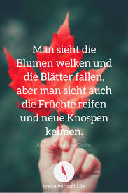 Zitat Goethe Herbst Zitate Spruche Zitate Herbst