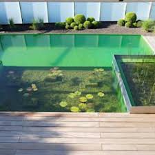 Balena Pools Von Balena Gmbh Modern Homify Piscinas Naturales Piscinas Albercas