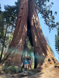 Check spelling or type a new query. On The Go Oc Things To Do With Your Family Sequoia Kern River Lake Isabella More Must See Must Do Travel Tips Familytravel Sequoia Kernriver Koacamping