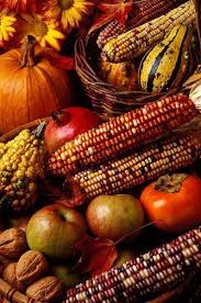 Maiskolben Corncob Bunter Mais Colorful Corn Kurbisse Cucurbita Apfel Apple Walnuss Walnut Herbst Ernte Herbstgefuhl Herbstbilder