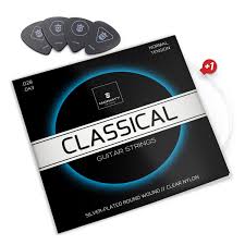 MORIATY® set di 6 Corde Eccellenti per chitarra classica e acustica - in  nylon - INCLUSI: 4 plettri + 1 corde Mi extra : Amazon.it: Strumenti  Musicali