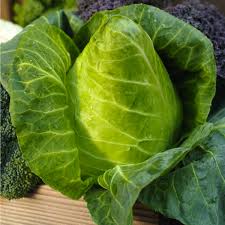 Image result for hlávková kapusta