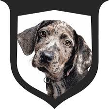 Tempe , az , 85282 Home Heritage Animal Hospital