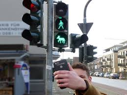 Ich denke, alles richtig gemacht! Esel Ampel An Der Esplanade Bereitet Autofahrern Und Stadtverwaltung Kopfzerbrechen Wenn Die Ampel Plotzlich Rot Und Der Esel Verschwunden Ist Wesel