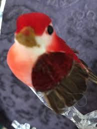 Bird With Orange Belly And Black Wings 1 5 Woodland Baby Mushroom Bird Red Head Wings With Red Body Orange Belly So Soft Crafting Embellishment Scene Hat Topper Cake Woodland Baby Red Bodies Bird