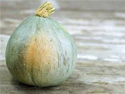 Browse our wide selection of do it yourself paints. Baby Blue Hubbard Web Blue Hubbard Squash Squash Heirloom Seeds