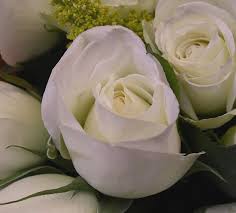 Mazzo misto alto con fiori di stagione. 10 Gif E Immagini Di Rose Bellissime Top10immagini It