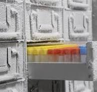 Cryoboxes & Cryotubes Multiple Material Cardboard Plastic ...