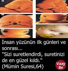 Emine Pinarli Adli Kullanicinin Ayet Mealleri Panosundaki Pin Bilgi Instagram Gercekler