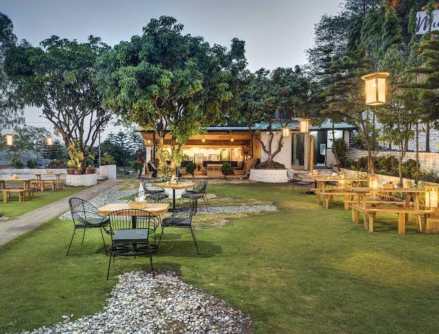 Musee Art Cafe, Rajpur, Dehradun | Zomato