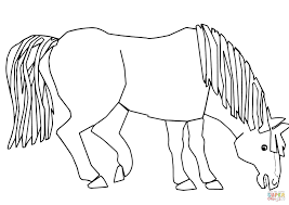 Other great ideas for text: Blue Horse Blue Horse What Do You See Coloring Page From Brown Bear Brown Bear What Do You See Categ Bear Coloring Pages Horse Coloring Pages Horse Coloring