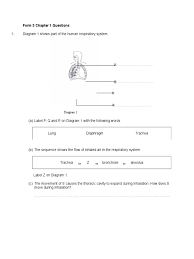 Home science notes questions and answers form 1, form 2, form 3 and form 4. Form 3 Chapter 1 Questions Exhalation Breathing
