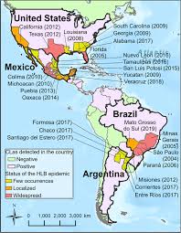 Internet providers overview for hobbs, nm. Institutional Approaches For Plant Health Provision As A Collective Action Problem Springerlink