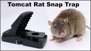 About press copyright contact us creators advertise developers terms privacy policy & safety how youtube works test new features press copyright contact us creators. The Tomcat Rat Snap Trap A Bobcat Mousetrap Monday Youtube