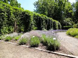 Der botanische garten in leipzig bietet eine schöne vielfalt an pflanzen und lädt zum spazieren bei schönem wetter ein. Botanischer Garten Leipzig Vier Mal Natur Pur Sachsen Erkunden
