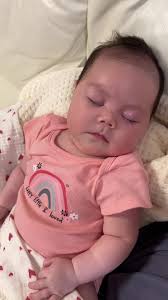 Exploring Edward Medard Park in Plant City, Florida