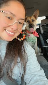 Pet insurance advice needed for high-cost pet