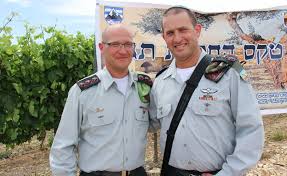 גרשון אלינסון, פלאש 90 שרון אסמן, מפקד חטיבת הנחל | צילום: Anwrr54gsst Wm