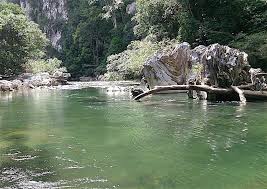 It looks insanely dangerous, but like too. Rio Claro Nature Reserve A Perfect Getaway From Medellin